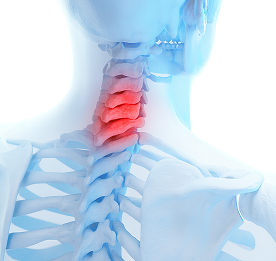 neck_b1