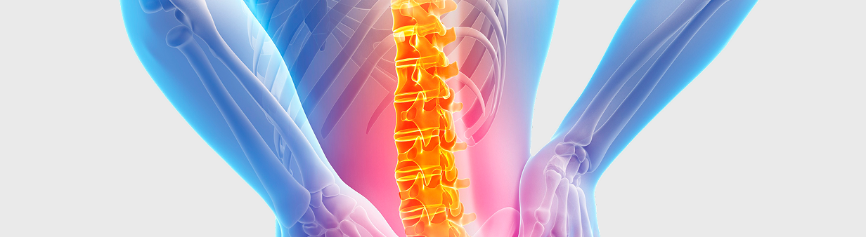 spine_t
