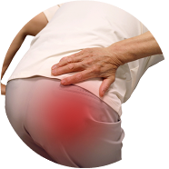 ass_showup