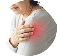 shoulder_showup