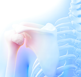shoulder_b4